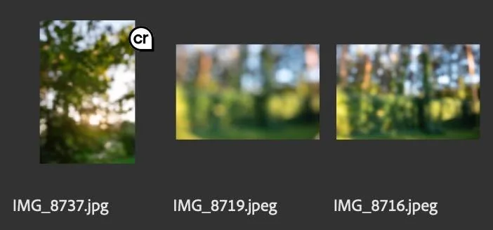 Photoshop 25 автоматично записує Content Credentials: що це і як видалити мітку ШІ