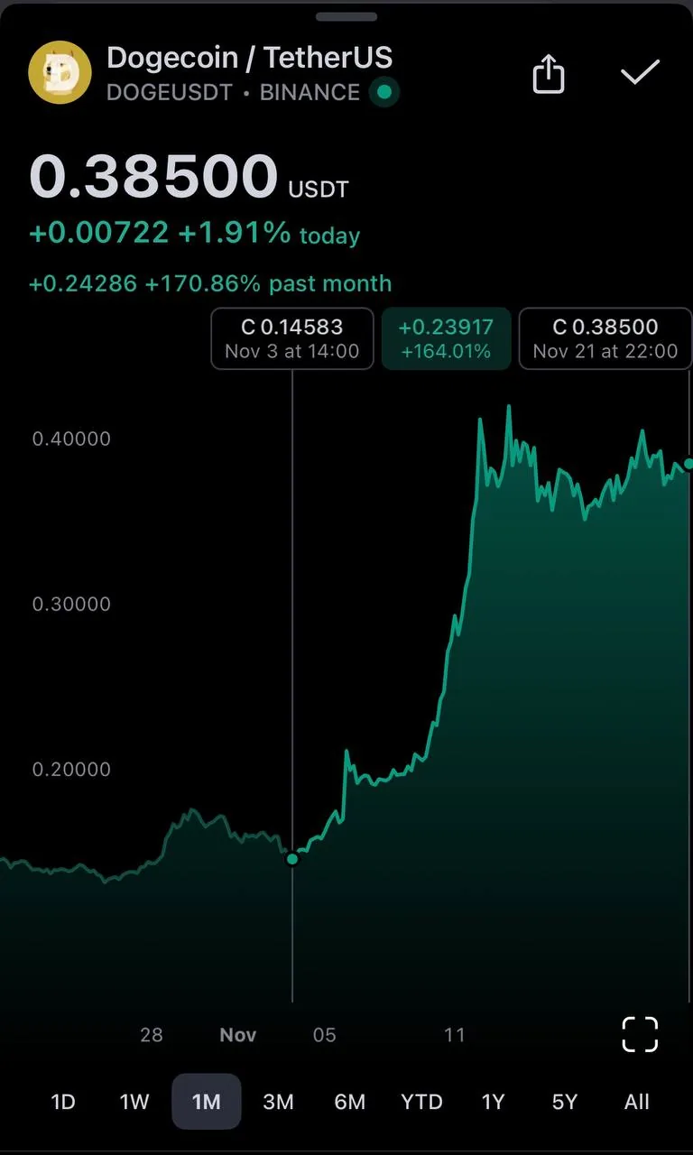 Dogecoin і DOGE: як абревіатура Департаменту ефективності Маска збіглася з криптовалютою
